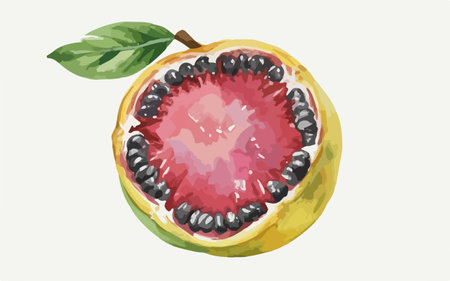 Illustration of a whole and half of a guava fruit.のイラスト素材