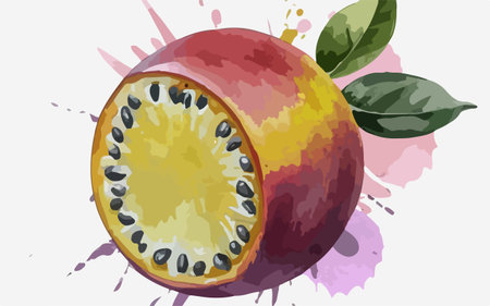 Passion fruit with watercolor splashes. Vector illustration of passion fruit.