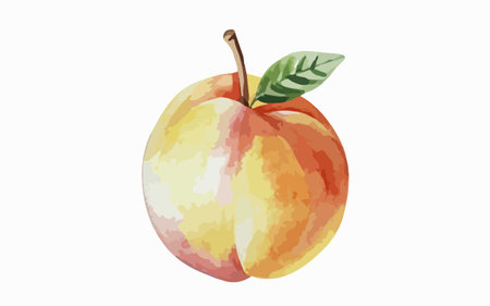 Illustration of a peach on a white background, vector illustration.のイラスト素材