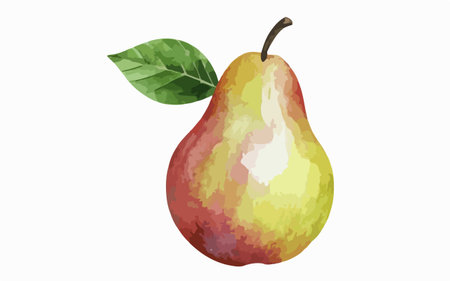 Illustration of a watercolor pears on a white background.のイラスト素材