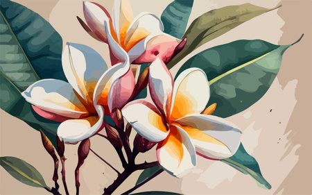 Illustration of frangipani flowers on grunge background.のイラスト素材
