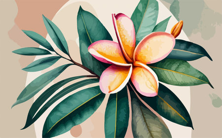 Frangipani flower in watercolor style. Vector illustration.のイラスト素材