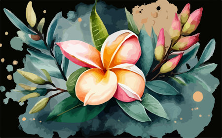 Illustration of Frangipani flowers on watercolor background.のイラスト素材