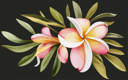 Plumeria flowers with leaves. Vector illustration on black background.のイラスト素材