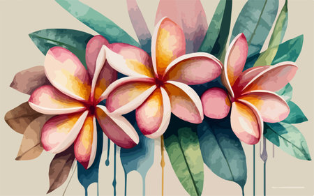 Frangipani flowers with leaves in watercolor style. Vector illustration.のイラスト素材