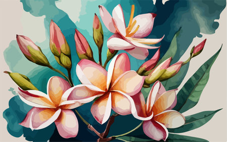Illustration of frangipani flowers on watercolor background.のイラスト素材
