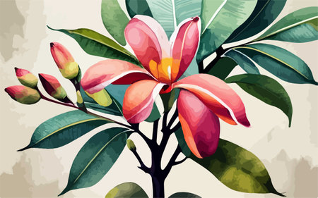 Illustration of a beautiful frangipani flower with leaves.のイラスト素材