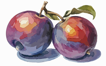 Two plums on a white background. Watercolor painting. Vector illustration.のイラスト素材