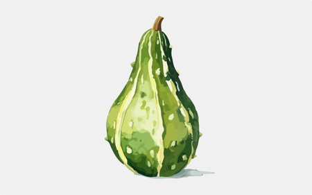 Illustration of a green gourd isolated on a white backgroundのイラスト素材