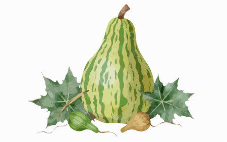 Illustration of a green pumpkin with leaves and radish on a white backgroundのイラスト素材