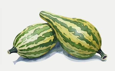 Illustration of three green gourds on a white background.のイラスト素材