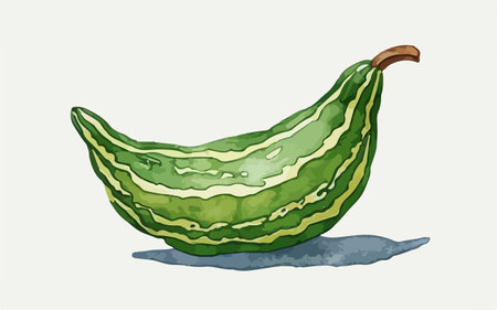 Illustration of a green gourd on a white background.のイラスト素材