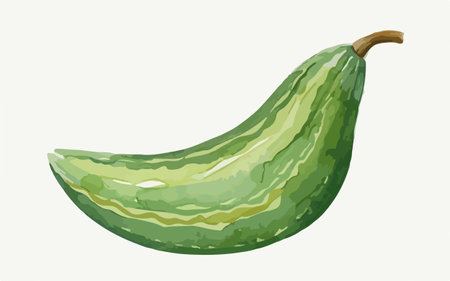 Illustration of a green cucumber isolated on a white background.のイラスト素材