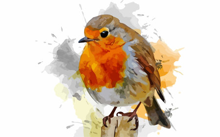 Robin Bird on Watercolor Background. Vector Illustration. EPS10のイラスト素材