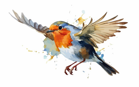 Hand drawn vector watercolor illustration of a robin with wings spreadのイラスト素材