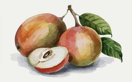 Illustration of fresh pears with leaves on a white background.のイラスト素材