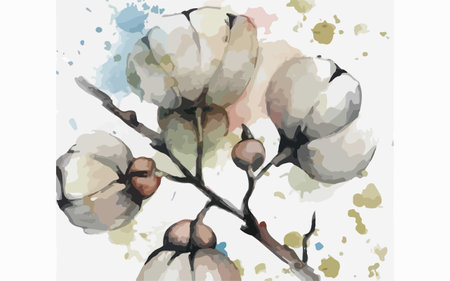 Watercolor illustration of cotton branch with flowers and leaves on white backgroundのイラスト素材