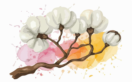 Cotton branch with flowers on a watercolor background. Vector illustration.のイラスト素材