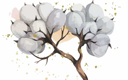 Cotton tree with flowers and leaves. Hand drawn vector illustration.のイラスト素材
