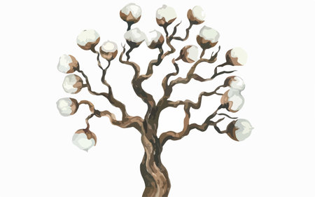 Cotton tree on a white background. Hand drawn vector illustration.のイラスト素材