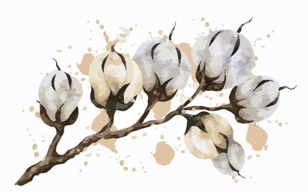 Cotton branch with flowers and leaves. Watercolor vector illustration.のイラスト素材