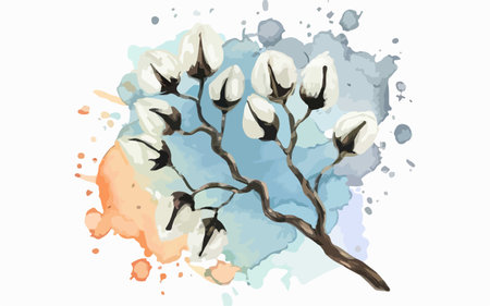 Cotton branch on watercolor background. Hand drawn vector illustration.のイラスト素材