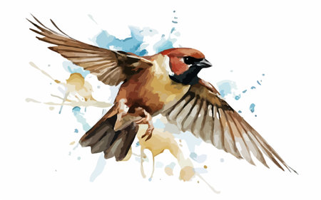 Sparrow. Watercolor hand drawn illustration isolated on white backgroundのイラスト素材