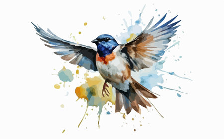 Hand drawn watercolor illustration of a swallow in flight. Isolated on white background.のイラスト素材