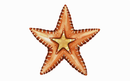 Starfish on a white background, vector illustration, eps10のイラスト素材