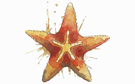 Starfish in watercolor style on white background. Vector illustration.のイラスト素材