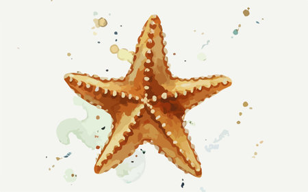 Starfish on a white background with splashes. Vector illustration.のイラスト素材
