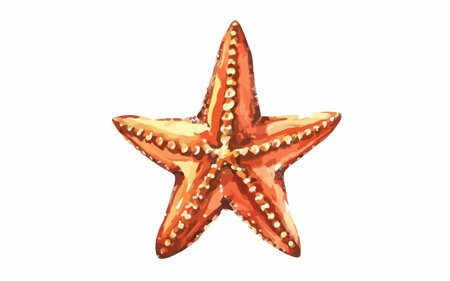 Starfish isolated on white background. Hand drawn watercolor illustration.のイラスト素材
