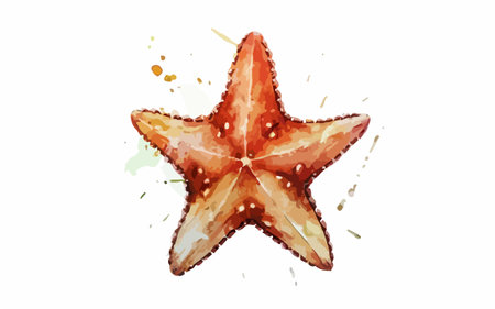 Starfish watercolor vector illustration. Hand drawn watercolor starfish isolated on white background.のイラスト素材