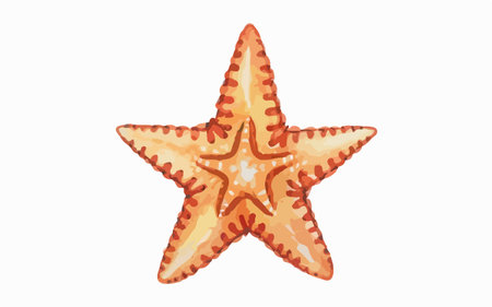 Starfish isolated on white background. Hand drawn watercolor illustration.のイラスト素材