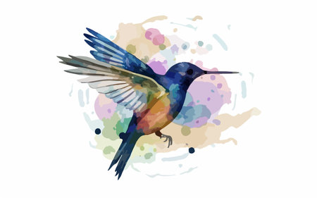 Hummingbird with watercolor splashes. Hand drawn vector illustration.のイラスト素材