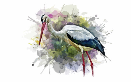 Watercolor painting of a stork on a white background. Vector illustrationのイラスト素材
