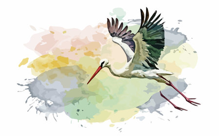 Illustration of a white stork flying over watercolor splashesのイラスト素材