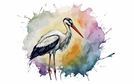 Watercolor stork on watercolor background. Hand drawn vector illustrationのイラスト素材