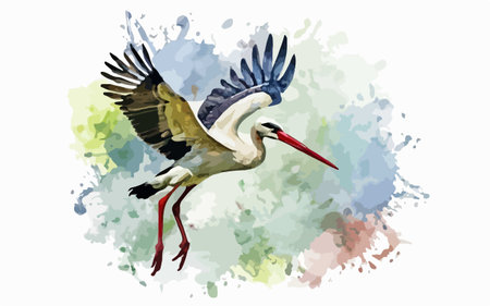White stork in flight. Watercolor background. Vector illustration.