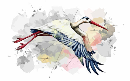 Flying stork on watercolor background. Watercolor vector illustration.のイラスト素材