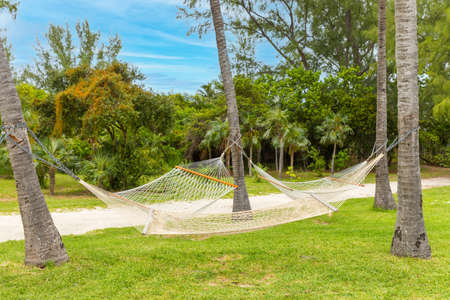 hammock in a paradise place in the bahamasの写真素材
