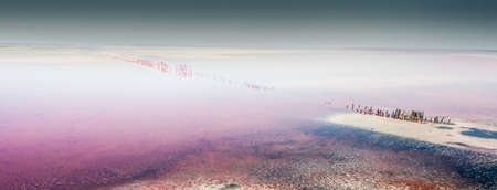 Vivid shores and water of beautiful pink lake, unique landscapeの写真素材