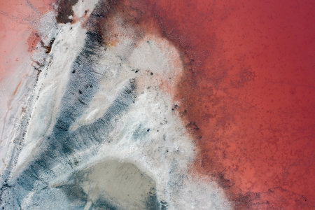 Top view of pink lake with vivd colors and beautiful shores, unique landscapeの写真素材