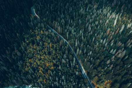 Aerial view of curvy road passing through the green forest, top viewの写真素材