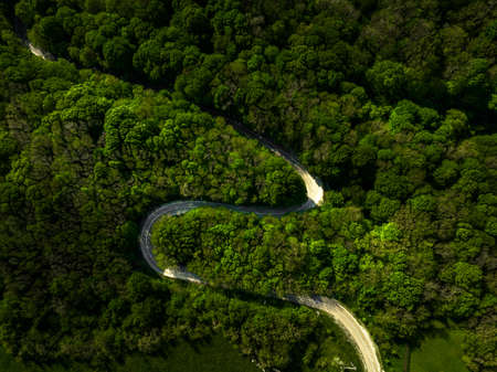 Aerial view of curvy road passing through the green forest, top viewの写真素材
