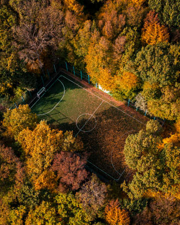 Top view of a soccer field in the forest in autumn, tall trees around the stadiumの写真素材