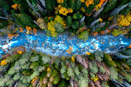 Drone aerial top view of mountain river and forestの写真素材