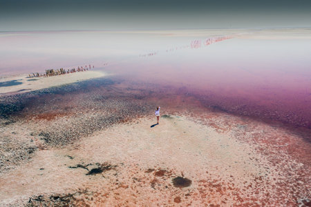 Pink lake with vivd colors and beautiful shores, unique landscapeの写真素材