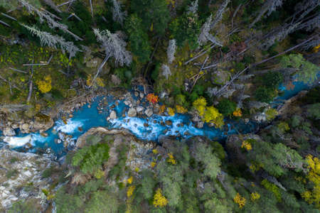 Drone aerial top view of mountain river and forestの写真素材