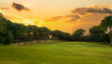 Golf course at sunset with beautiful dramatic sky. Scenic panoramic view of golf fairway. Beautiful golf field with pinesの写真素材